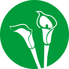 Final Expense Insurance